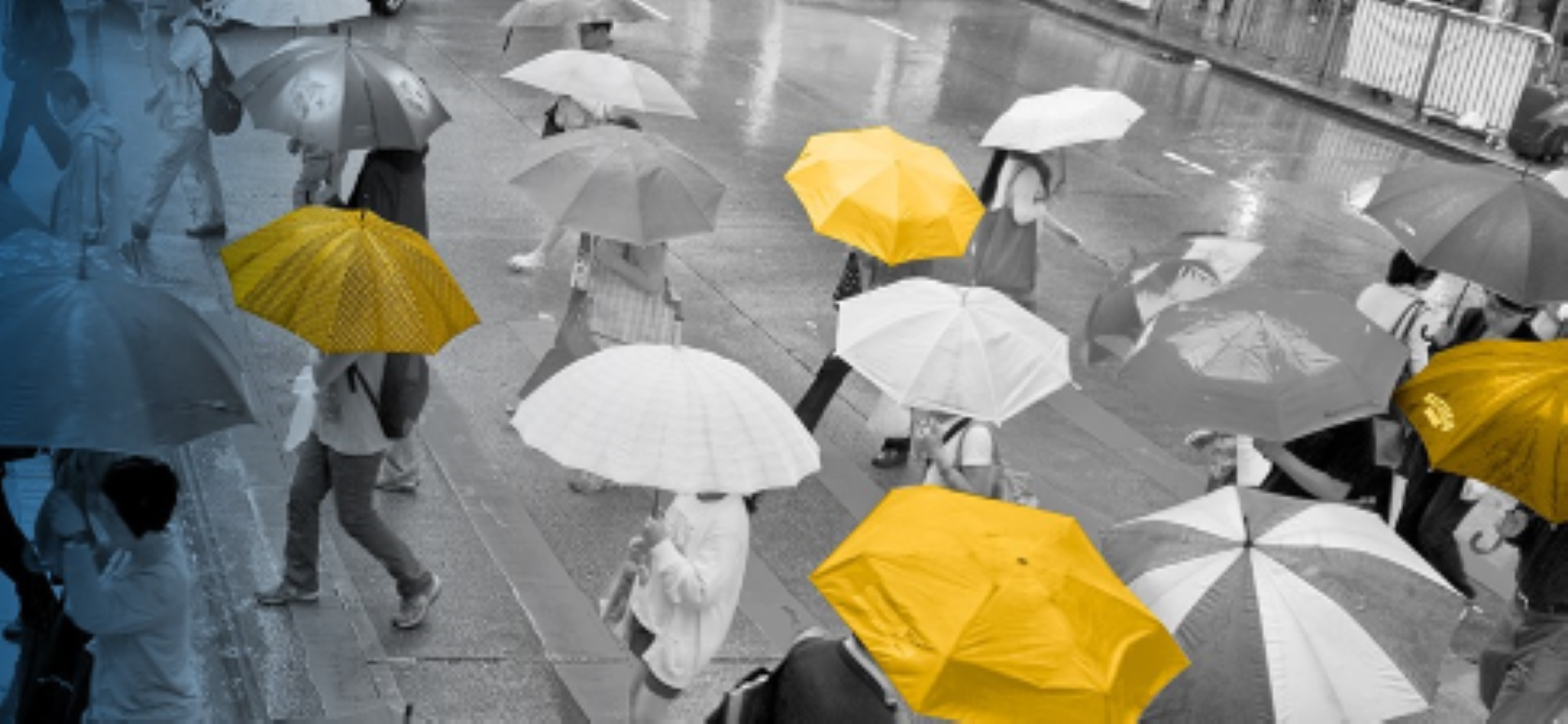 A black and white image shows people with umbrellas walking in the rain. Some of the umbrellas are a vivid yellow. A transparent blue overlay covers the left side of the image.